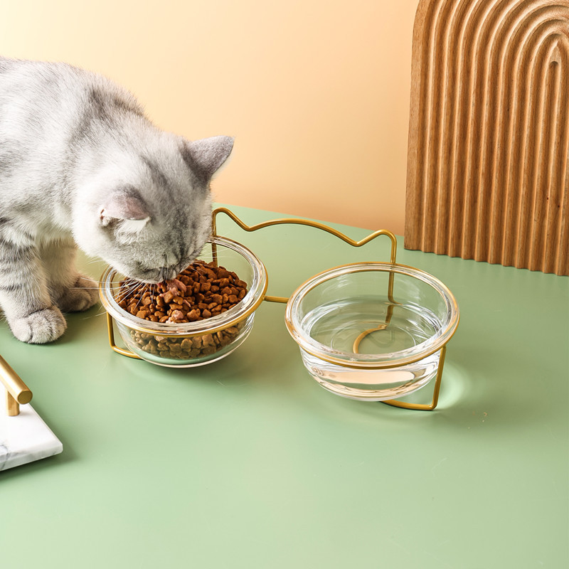 Glass Double Cat Bowl Set Non-Slip Raised Bowls for Kittens Food Water Dishes 11*13*5.5cm Size